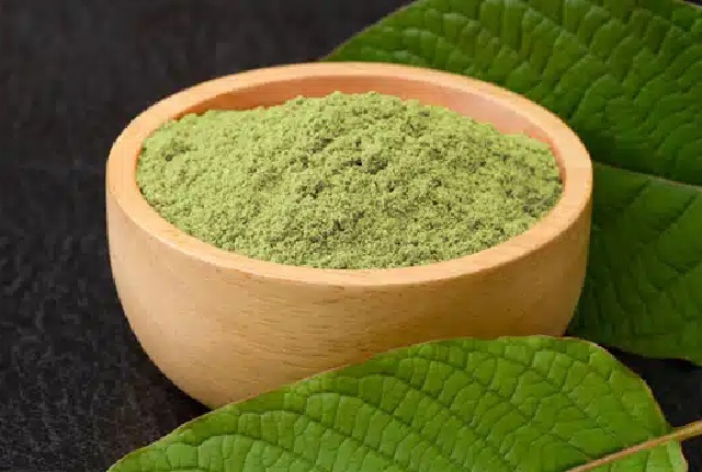 obrázek kratomu